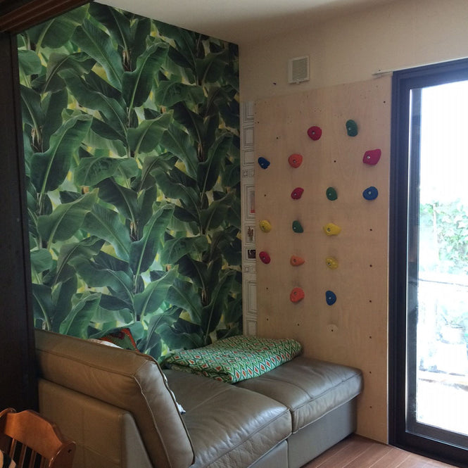 【OUTLET】rasch 473407 (African Queen II)