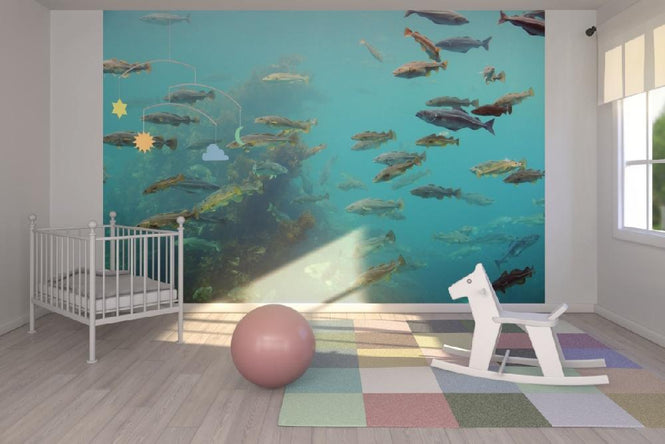 PHOTOWALL / Circling Fish (e22318)