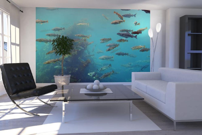 PHOTOWALL / Circling Fish (e22318)