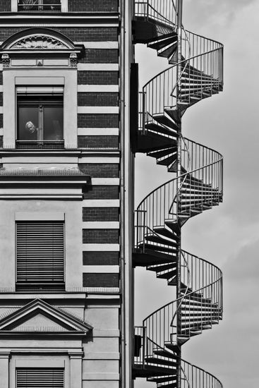 PHOTOWALL / Lonely Man (e22393)