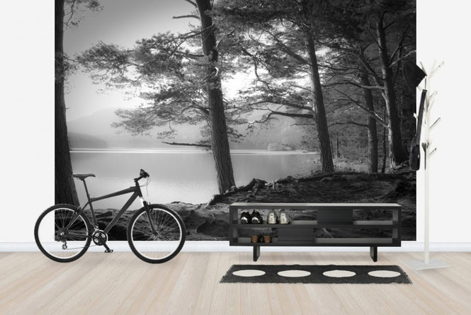 PHOTOWALL / Lake - Grey (e22426)