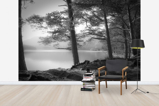 PHOTOWALL / Lake - Grey (e22426)