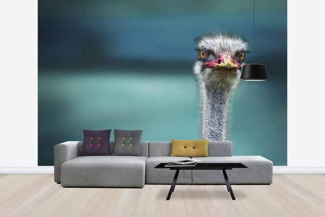 PHOTOWALL / Hello Bird (e22489)