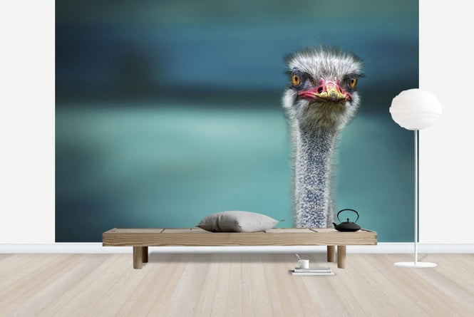 PHOTOWALL / Hello Bird (e22489)