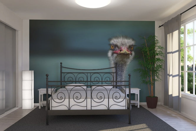 PHOTOWALL / Hello Bird (e22489)
