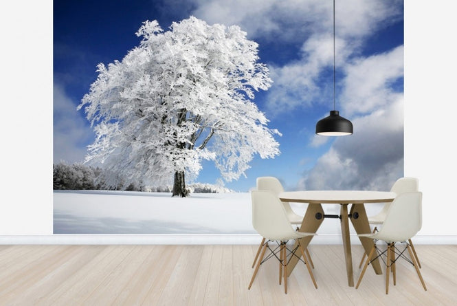 PHOTOWALL / Winter Tree (e22493)