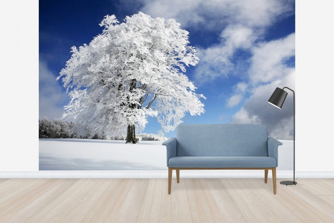 PHOTOWALL / Winter Tree (e22493)