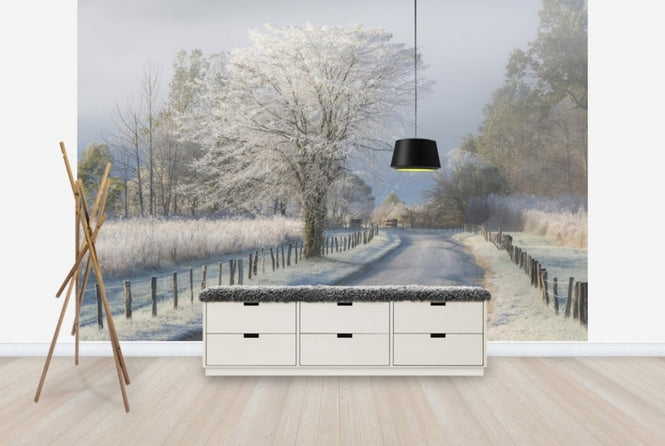 PHOTOWALL / Frosty Morning (e22540)