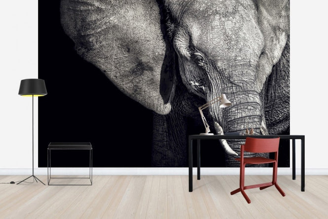 PHOTOWALL / Beautiful Elephant (e22543)