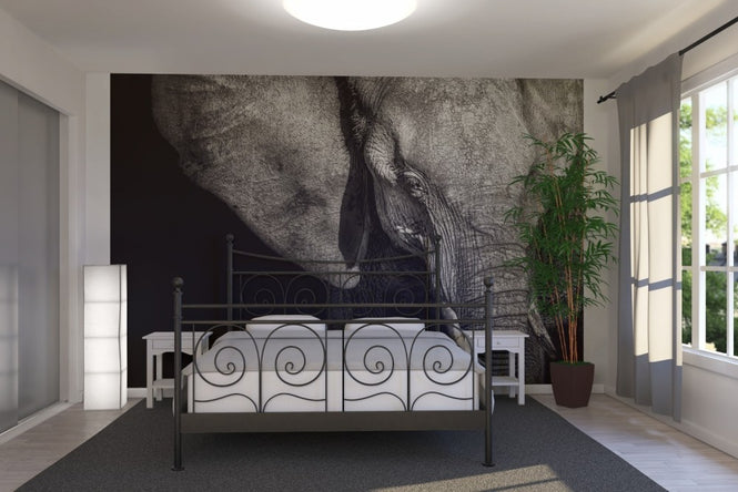 PHOTOWALL / Beautiful Elephant (e22543)