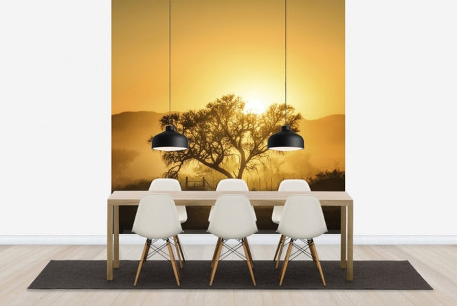 PHOTOWALL / Golden Sunrise (e22546)