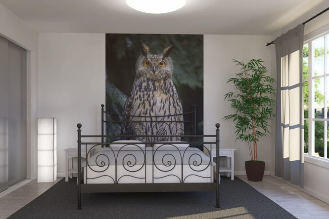 PHOTOWALL / Owl (e22569)