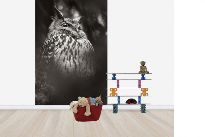 PHOTOWALL / Misty Owl (e22570)