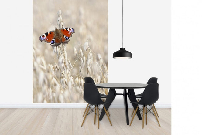 PHOTOWALL / Peacock Butterfly on Oats (e22577)