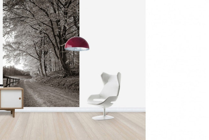 PHOTOWALL / Country Road (e22578)