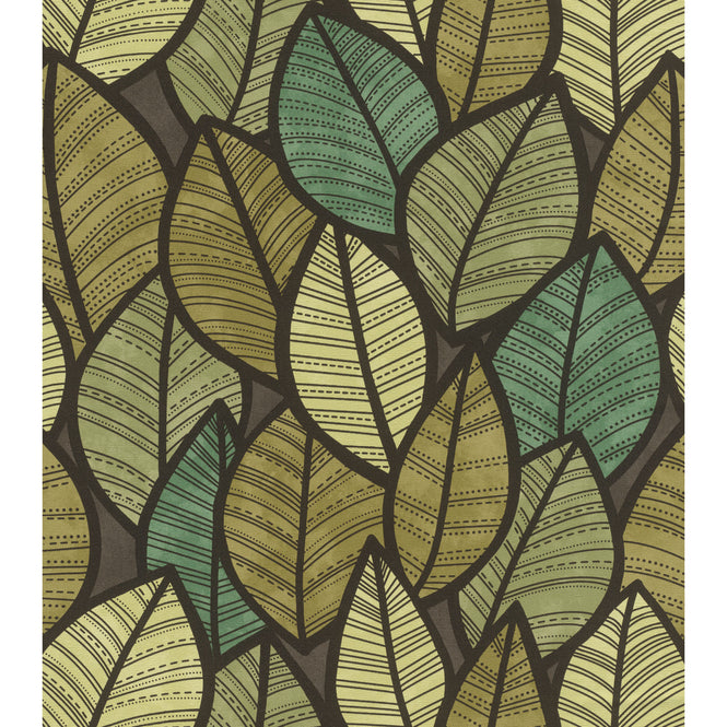 【限定数】rasch ラッシュ / 480115 (Salsa)