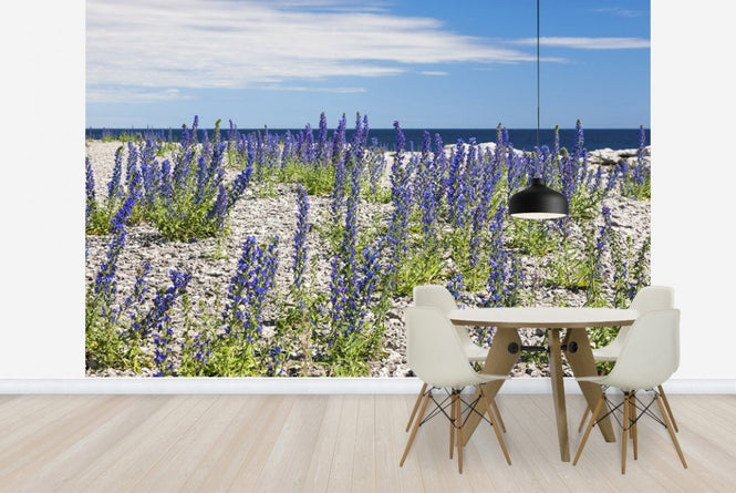 PHOTOWALL / Blueweed (e22857)