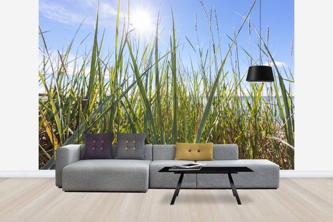 PHOTOWALL / Sunshine and Grass (e22861)