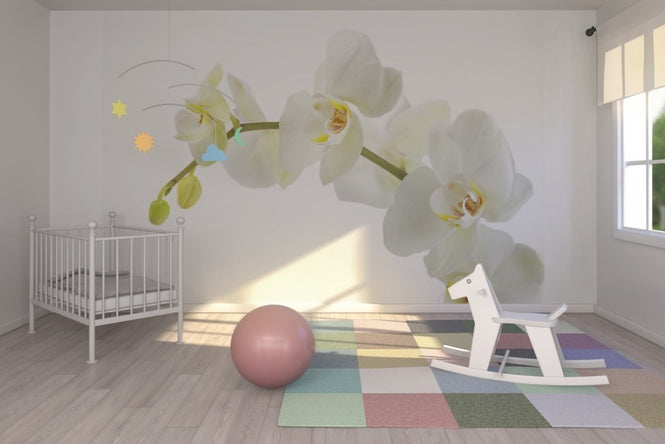 PHOTOWALL / Soft White Orchid Stem (e23040)