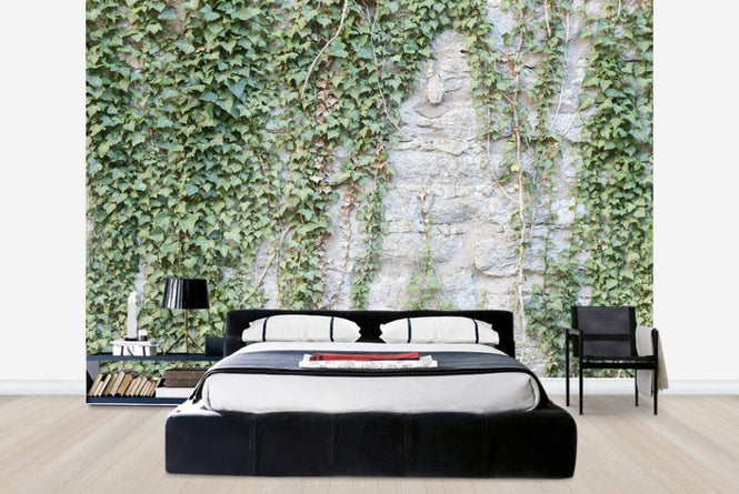 PHOTOWALL / Ivy Wall (e23095)