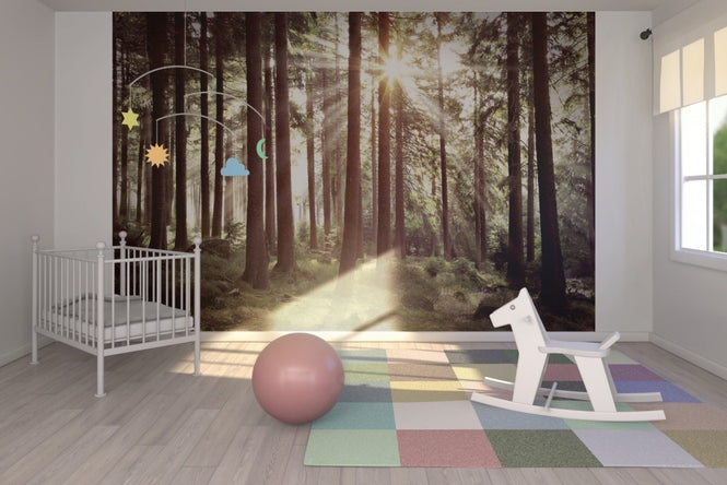 PHOTOWALL / Sunbeam Through Trees - Retro (e23127)