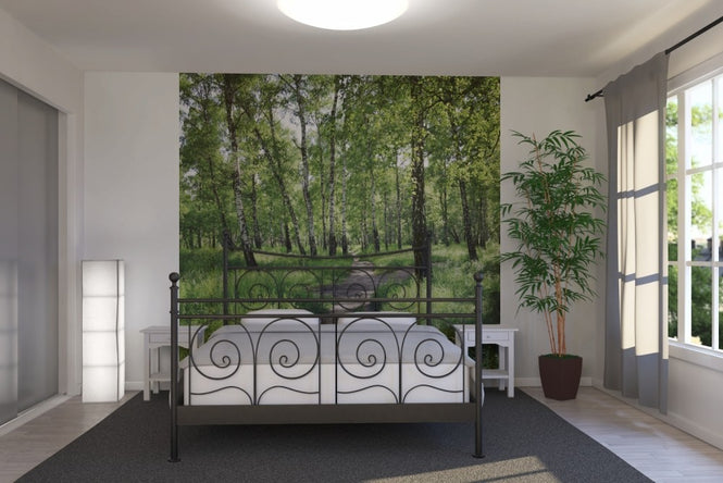 PHOTOWALL / Birch Forest on Sunny day (e23168)