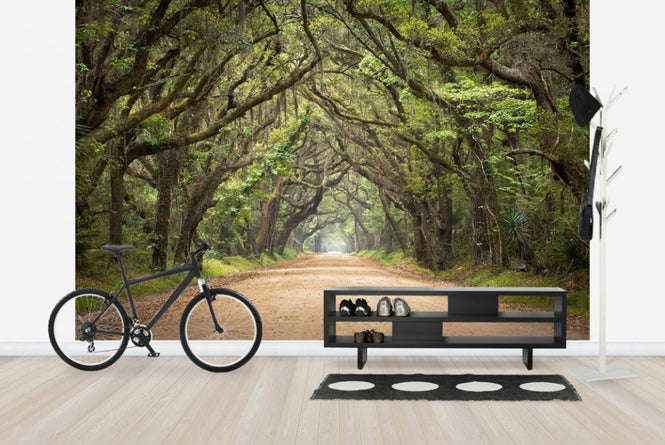 PHOTOWALL / Oak Tree Road (e23182)