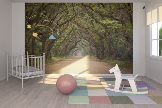 PHOTOWALL / Oak Tree Road (e23182)