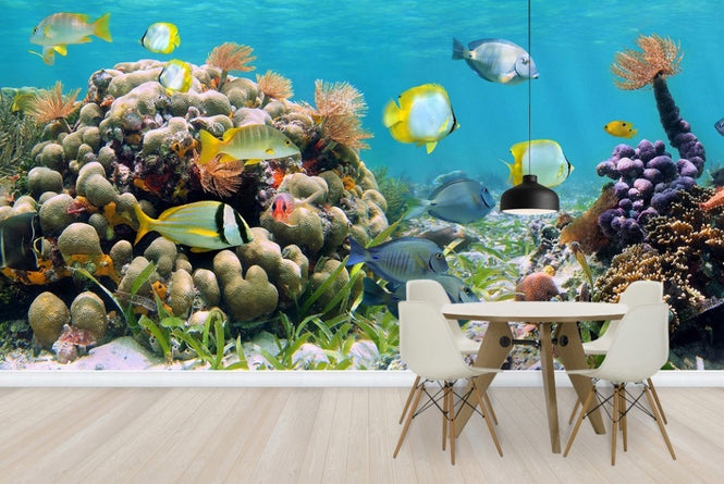 PHOTOWALL / Panorama Coral Reef (e23187)
