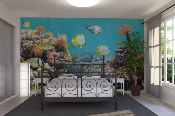 PHOTOWALL / Panorama Coral Reef (e23187)
