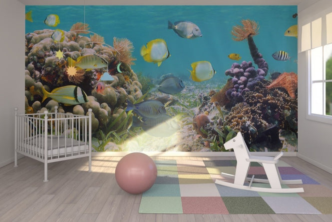 PHOTOWALL / Panorama Coral Reef (e23187)