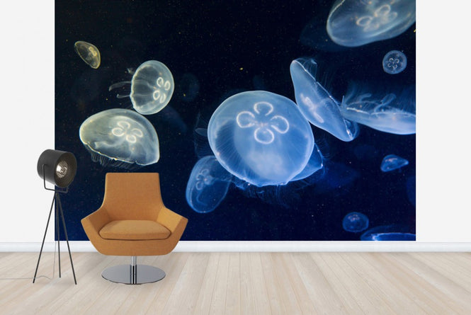 PHOTOWALL / Floating Jellyfish (e23255)