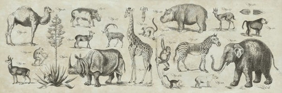 PHOTOWALL / Wild Africa (e23402)