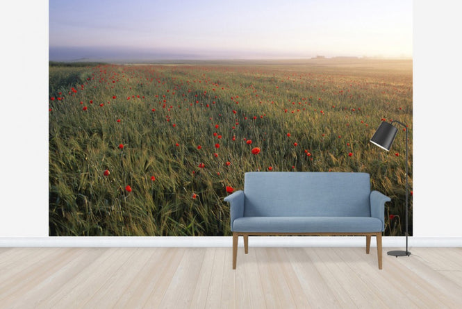 PHOTOWALL / Dreamy Fields of Poppies (e23508)