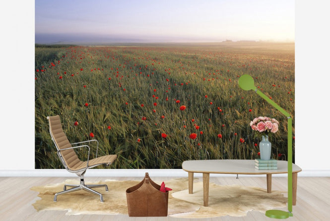 PHOTOWALL / Dreamy Fields of Poppies (e23508)