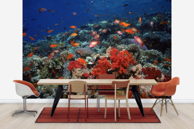 PHOTOWALL / Red Sea (e23509)