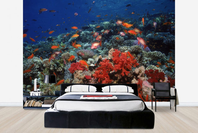 PHOTOWALL / Red Sea (e23509)