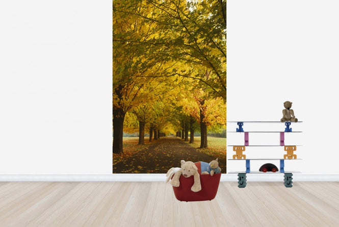 PHOTOWALL / Yellow Sugar Maple Alley (e23510)