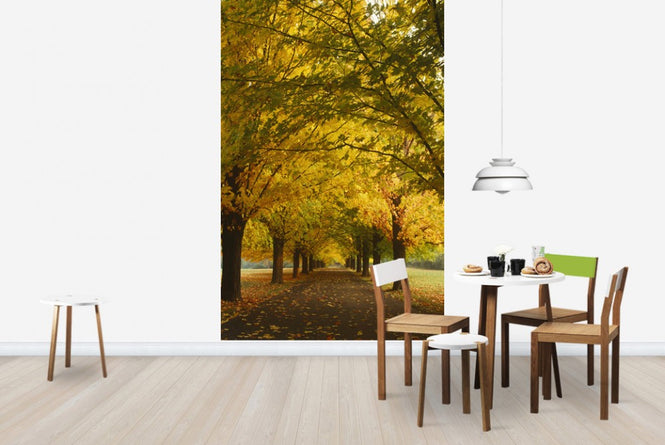 PHOTOWALL / Yellow Sugar Maple Alley (e23510)