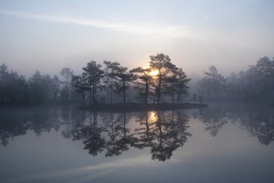 PHOTOWALL / Enchanting Mist (e23523)