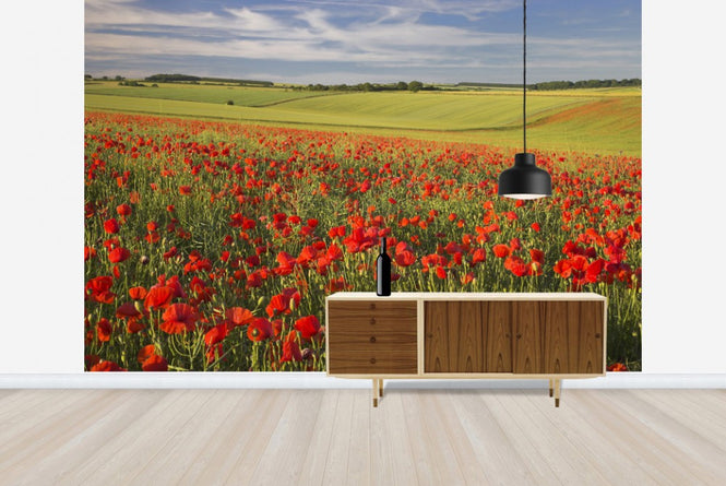 PHOTOWALL / Sea of Poppies (e23529)