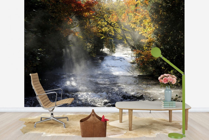 PHOTOWALL / Waterfall with Autumn Colors (e23587)