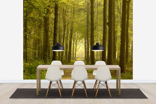 PHOTOWALL / Path through Golden Forest (e23602)