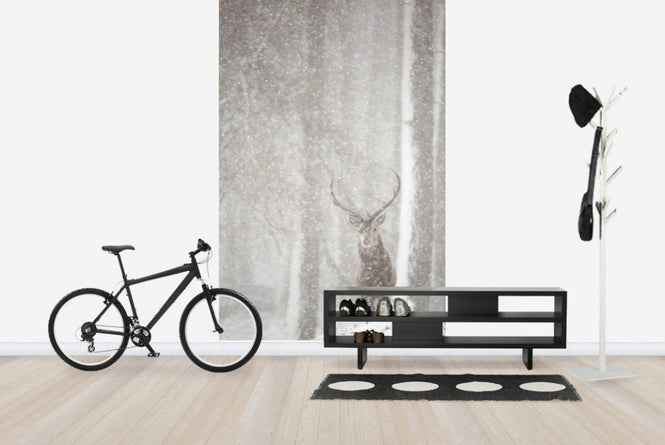PHOTOWALL / Red Deer in Heavy Snowfall (e23616)