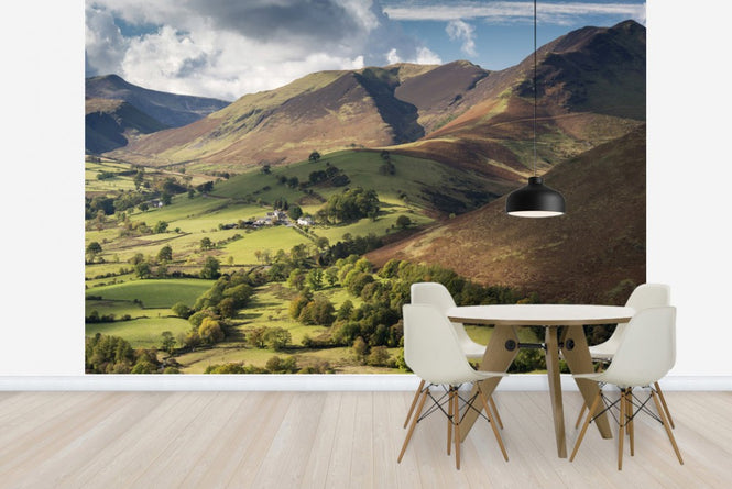 PHOTOWALL / Newlands Valley (e23629)