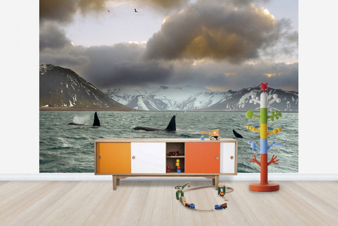 PHOTOWALL / Orcas (e23638)