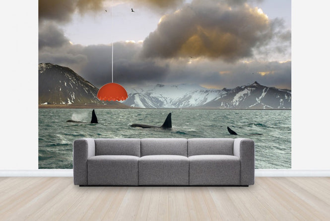 PHOTOWALL / Orcas (e23638)