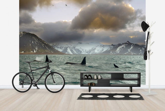 PHOTOWALL / Orcas (e23638)