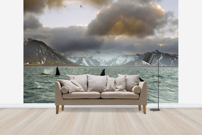 PHOTOWALL / Orcas (e23638)