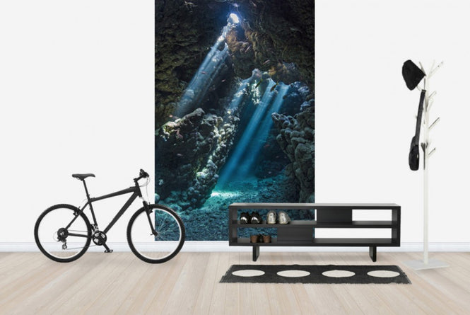 PHOTOWALL / Underwater Cavern (e23671)